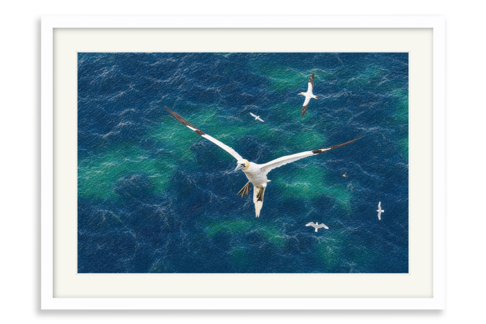 White Frame A4 -  21 x 29.7 cm (+£125.00)